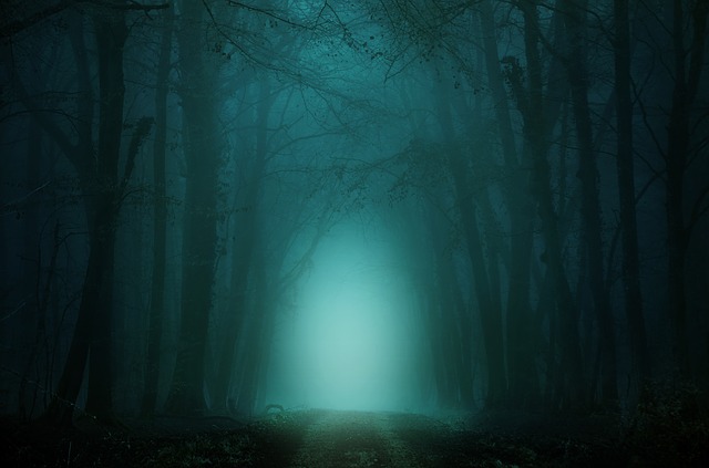 Un camino que atraviesa un lúgubre bosque, con una luz azulada al fondo