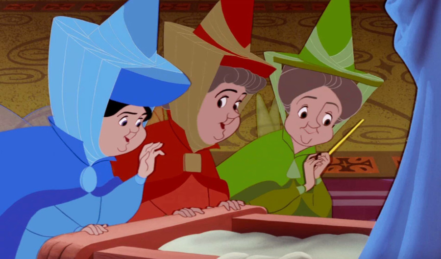 Ilustración de la cubierta: el fondo es verdoso; en el centro, en letras grandes y blancas, se uede leer el título del libro, y justo encima con letras más pequeñas, el nombre de la autora; a modo de marco se pueden ver hojas verdes en segundo plano y enredaderas anaranjadas en primero, siendo espinosas en la parte inferior izquierda; en la parte inferior derecha hay un hada.